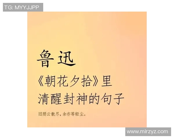 亚当斯的传奇人生与时代变迁的深刻影响分析