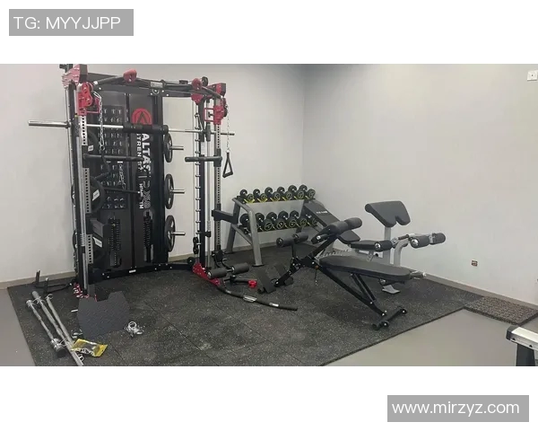 全面解析健身器材种类及其功能助你选择适合自己的健身工具